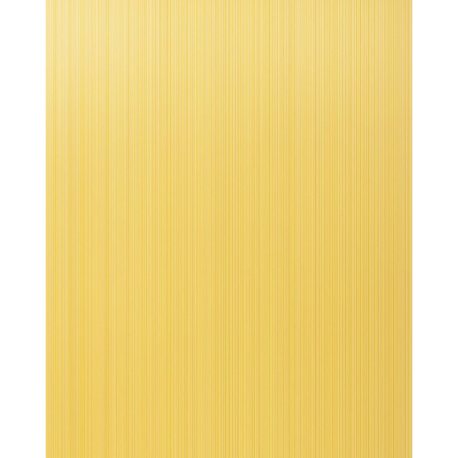 EDEM 598-21 Uni-Tapete Streifen Matt Safran-Gelb Ginster-Gelb 10,05 m x 0,53 m 5,33 m2 Gelb EDEM 598-21 Uni-Tapete Streifen Matt Safran-Gelb Ginster-Gelb 10,05 m x 0,53 m 5,33 m2 Gelb von EDEM