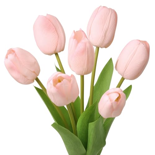 EDIMENS 7pcs künstliche Tulpenblüten mit Vasen, Silk-Tulpenblüten, künstliche Tulpenblütenblüten in Glasblüten für die Dekoration von Home Office, Tisch, Dekoration und Hochzeiten(rosa.) von EDIMENS