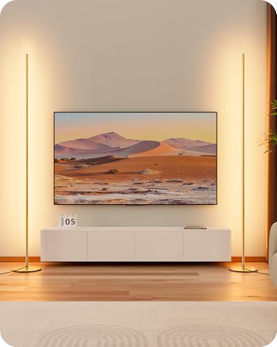 EDISHINE 2 Stück Stehlampe Wohnzimmer, LED Stehlampe Dimmbar, 3000K warmweiße Stehleuchte mit Memory-Funktion, höhenverstellbar 146 cm, moderne Standleuchte für Schlafzimmer und Büro, Gold EDISHINE 2 Stück Stehlampe Wohnzimmer, LED Stehlampe Dimmbar, 3000K warmweiße Stehleuchte mit Memory-Funktion, höhenverstellbar 146 cm, moderne Standleuchte für Schlafzimmer und Büro, Gold von EDISHINE