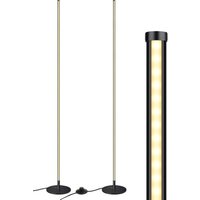 EDISHINE 2 Stück Stehlampe Wohnzimmer, Stufenlos Dimmbar, 3000K warmweiße Stehleuchte mit Memory-Funktion, höhenverstellbar 146 cm, moderne von EDISHINE