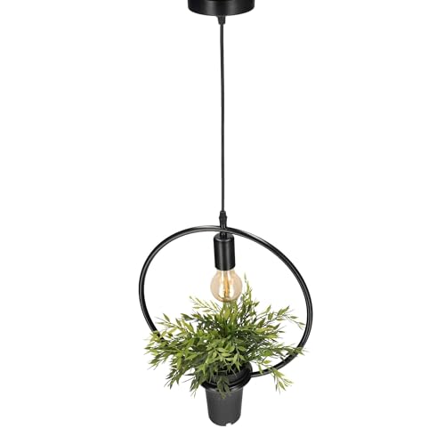 EDO Pendelleuchte Dekorative Hängelampe mit Topf MEA, Deckenlampe Wohnzimmer, Lampe Wohnzimmer, Runde Pendelleuchte, Gemetrischer Kreis, Pflanzen Topf, Natur Designer IP20, E27, EDO777544 Deckenlampe von EDO