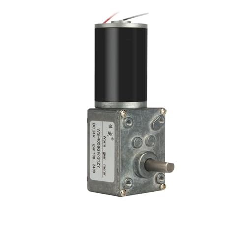 12V 24V DC Getriebemotor Turboschnecke Motor mit hohem Drehmoment und niedriger Geschwindigkeit Miniatur kann CW CCW langsame Geschwindigkeit selbsthemmend(Only motor,5RPM_24V) von EDXFICDQ