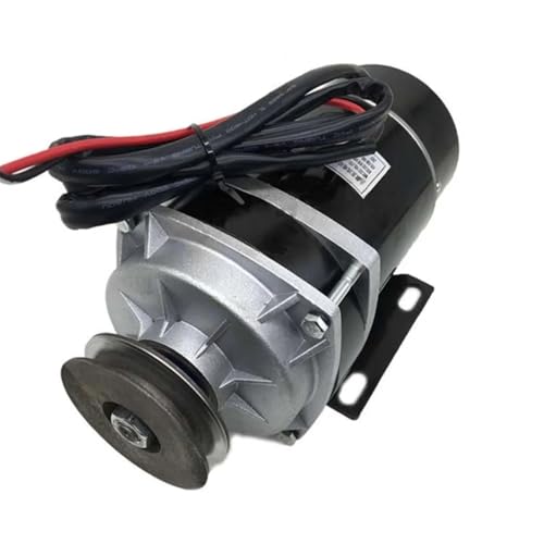 600 W 36 V/48 V Riemenscheiben-Getriebemotor, Bürstenmotor, elektrischer Dreiradmotor, DC-Getriebebürstenmotor, MY1020ZXF(600W 48V) von EDXFICDQ