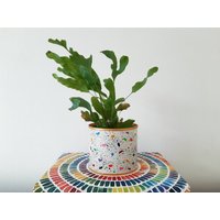 Blumentopf, Übertopf, Kleiner Blumentopf Aus Metall, Bunt Lackiert, Weiß Blumentopf, Übertopf, Kleiner Blumentopf Aus Metall, Bunt Lackiert, Weiß von EloMstudio