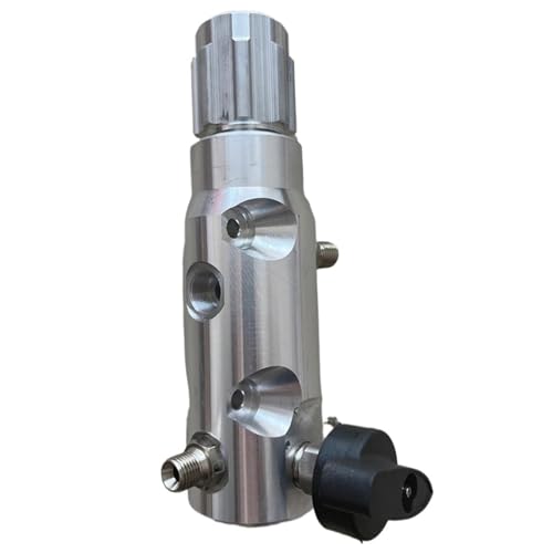 Airless-Spritzgerät-Filter-Rückschlagventil Airless-Spritzgerät-Spritzpistole-Filterpumpe 390-595 Filter Airless-Farbspritzgerät-Verteilerbaugruppe Airless-Spritzgerät-Filter-Rückschlagventil Airless-Spritzgerät-Spritzpistole-Filterpumpe 390-595 Filter Airless-Farbspritzgerät-Verteilerbaugruppe von EEQANAO