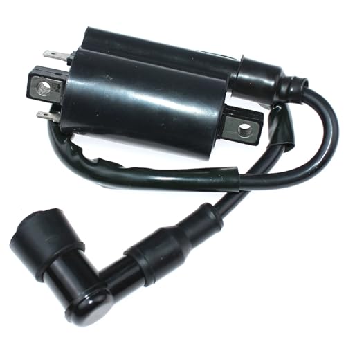 Zündspule for CRF450R CRF250R DN-01 NSA700A for INTE-RCEPTOR 250 VTR250 GL650 GL650I CX650 von EEQANAO