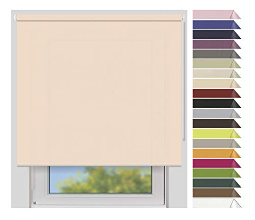 EFIXS Sichtschutzrollo Medium - 25 mm Welle - Breiten: 40-240 cm - Höhen bis 240 cm - Hier: 120 cm x 240 cm (Stoffbreite x Höhe) - lachs (4960) - lichtdurchlässig - Blickdicht von EFIXS