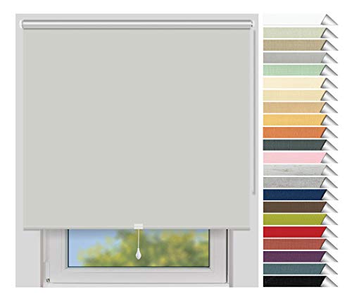 EFIXS Thermorollo Mittelzug Medium - Rollos nach Maß - 25 mm - Stoffbreite bis 180 cm, Höhe bis 240 cm - Hier: bis 100 cm x 190 cm (BxH) - hellgrau (054) - lichtundurchlässig, Springrollo von EFIXS