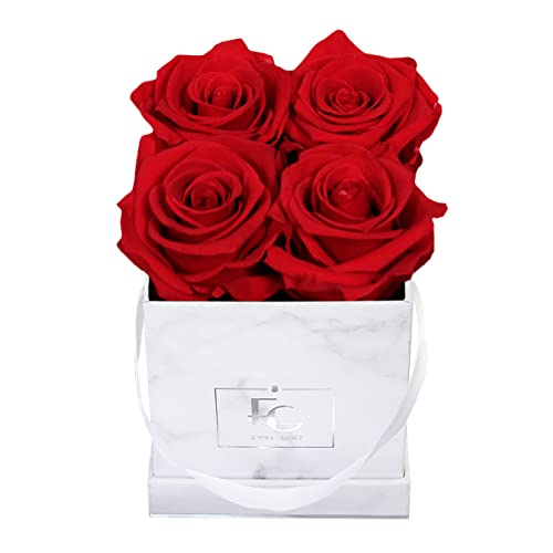 Classic Infinity Rosenbox | Marble Silver | XS | Eckig - 4 Infinity Rosen mit langjähriger Haltbarkeit, echte Rosen die bis zu DREI Jahre blühen, Emmie Gray Flowerbox (Vibrant Red) von EG EMMIE GRAY
