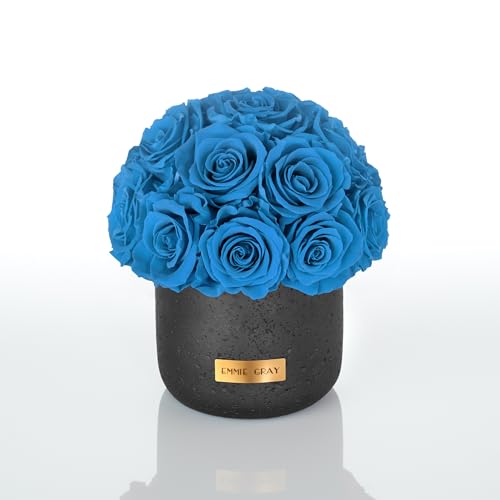 EG EMMIE GRAY Black Solid Infinity Collection - Traumhafte Infinity Rosen, 1-3 Jahre haltbare Rosen, Betonvase mit echten, konservierten Rosen, edle Premiumrosen - Größe S (Aquamarine) von EG EMMIE GRAY