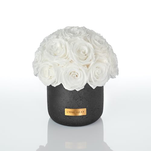 EG EMMIE GRAY Black Solid Infinity Collection - Traumhafte Infinity Rosen, 1-3 Jahre haltbare Rosen, Betonvase mit echten, konservierten Rosen, edle Premiumrosen - Größe S (Pure White) von EG EMMIE GRAY