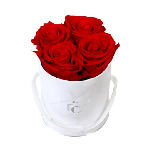 EG EMMIE GRAY Classic Infinity Rosebox | Round | XS | Marble Silver – 4 Infinity Rosen mit langjähriger Haltbarkeit, echte Rosen die bis zu 3 Jahre blühen, konservierte Rosen (Vibrant Red) von EG EMMIE GRAY
