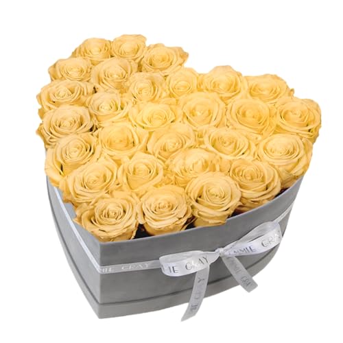 EG EMMIE GRAY Classic Infinity Rosenbox | Herz | Grau - Größe L mit 28 ± 4 Infinity Rosen, bis zu 3 Jahre haltbar, Flowerbox mit konservierten Rosen, Blumenbox (Champagne) von EG EMMIE GRAY