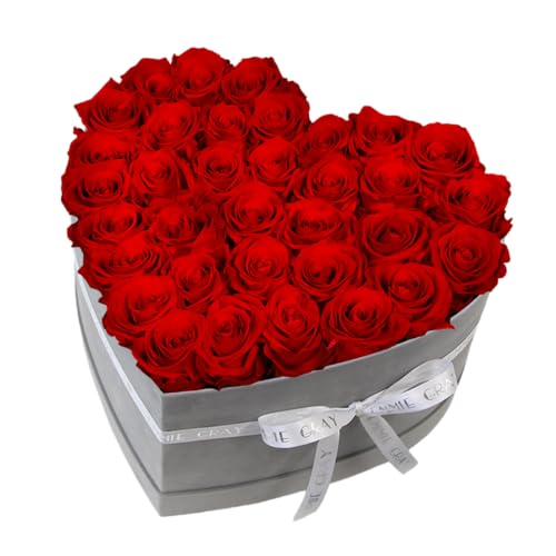 EG EMMIE GRAY Classic Infinity Rosenbox | Herz | Grau - Größe L mit 28 ± 4 Infinity Rosen, bis zu 3 Jahre haltbar, Flowerbox mit konservierten Rosen, Blumenbox (Vibrant Red) von EG EMMIE GRAY