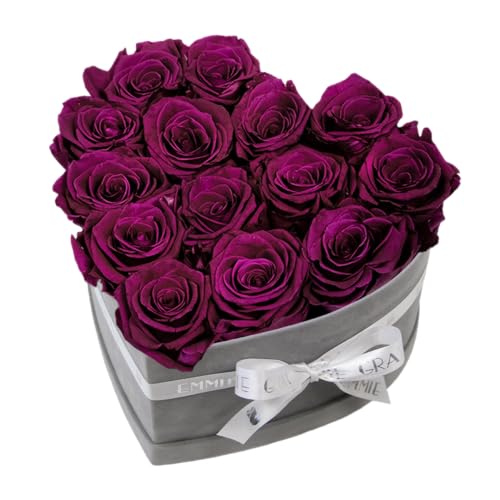 EG EMMIE GRAY Classic Infinity Rosenbox | Herz | Grau - Größe M mit 16 ± 2 Infinity Rosen - bis zu 3 Jahre haltbar, Flowerbox aus Samt mit konservierten Rosen, Blumenbox (Velvet Plum) von EG EMMIE GRAY