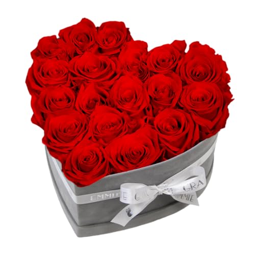 EG EMMIE GRAY Classic Infinity Rosenbox | Herz | Grau - Größe M mit 16 ± 2 Infinity Rosen - bis zu 3 Jahre haltbar, Flowerbox aus Samt mit konservierten Rosen, Blumenbox (Vibrant Red) von EG EMMIE GRAY