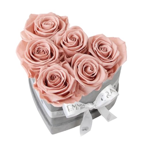 EG EMMIE GRAY Classic Infinity Rosenbox | Herz | Grau - Größe S mit 7 ± 1 Infinity Rosen, bis zu 3 Jahre haltbar, Flowerbox aus Samt mit konservierten Rosen, Blumenbox (Antique Pink) von EG EMMIE GRAY