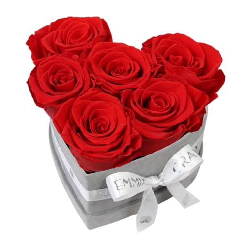 EG EMMIE GRAY Classic Infinity Rosenbox | Herz | Grau - Größe S mit 7 ± 1 Infinity Rosen, bis zu 3 Jahre haltbar, Flowerbox aus Samt mit konservierten Rosen, Blumenbox (Vibrant Red) von EG EMMIE GRAY