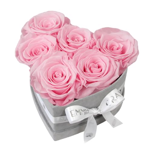 EG EMMIE GRAY Classic Infinity Rosenbox | Herz | Grau - Größe S mit 7 ± 1 Infinity Rosen, bis zu 3 Jahre haltbar, Flowerbox aus Samt mit konservierten Rosen, Blumenbox (Bridal Pink) von EG EMMIE GRAY