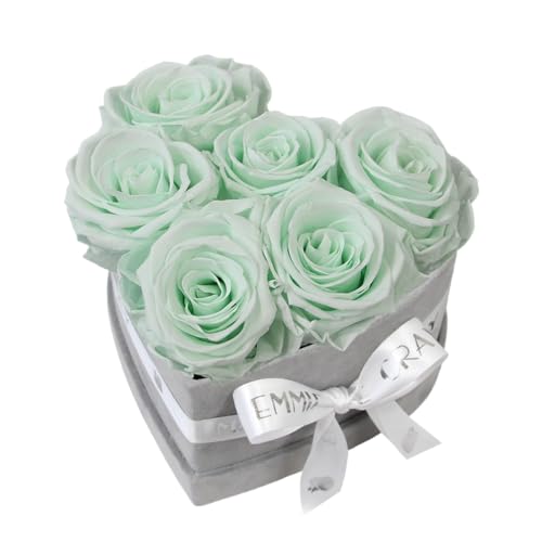 EG EMMIE GRAY Classic Infinity Rosenbox | Herz | Grau - Größe S mit 7 ± 1 Infinity Rosen, bis zu 3 Jahre haltbar, Flowerbox aus Samt mit konservierten Rosen, Blumenbox (Minty Green) von EG EMMIE GRAY