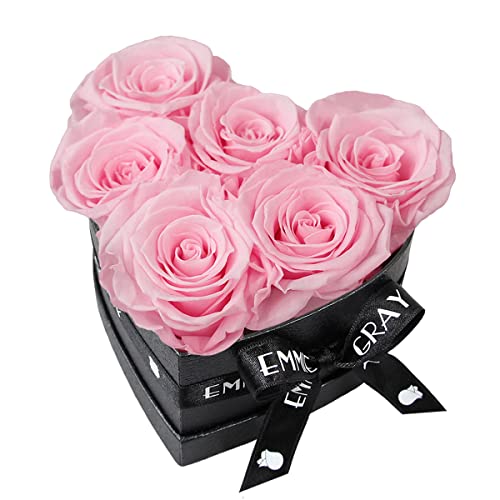 EG EMMIE GRAY Classic Infinity Rosenbox | Herz | Schwarz - Infinity Rosen, bis zu 3 Jahre haltbar, Flowerbox mit konservierten Rosen, Blumenbox (Bridal Pink, S) von EG EMMIE GRAY