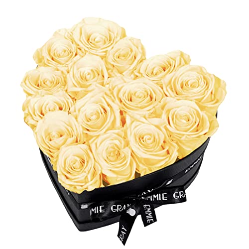 EG EMMIE GRAY Classic Infinity Rosenbox | Herz | Schwarz - Infinity Rosen, bis zu 3 Jahre haltbar, Flowerbox mit konservierten Rosen, Blumenbox (Champagne, M) von EG EMMIE GRAY