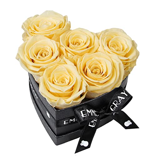 EG EMMIE GRAY Classic Infinity Rosenbox | Herz | Schwarz - Infinity Rosen, bis zu 3 Jahre haltbar, Flowerbox mit konservierten Rosen, Blumenbox (Champagne, S) von EG EMMIE GRAY