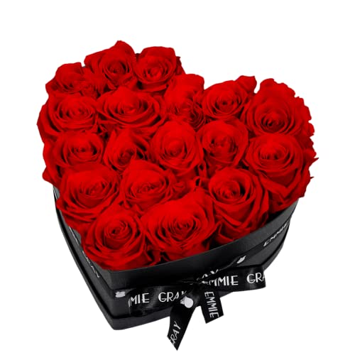 EG EMMIE GRAY Classic Infinity Rosenbox | Herz | Schwarz - Infinity Rosen, bis zu 3 Jahre haltbar, Flowerbox mit konservierten Rosen, Blumenbox (Vibrant Red, M) von EG EMMIE GRAY