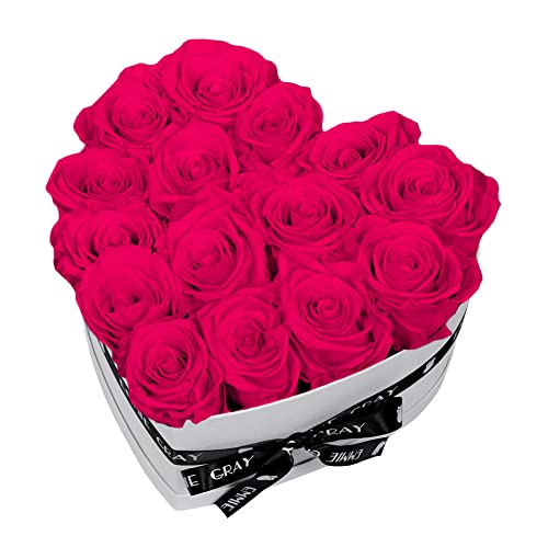 EG EMMIE GRAY Classic Infinity Rosenbox | Herz | Weiß – Traumhafte Infinity Rosen, 1-3 Jahre haltbare Rosen, Flowerbox mit echten, konservierten Rosen, edle Premiumrosen (M, Hot Pink) von EG EMMIE GRAY