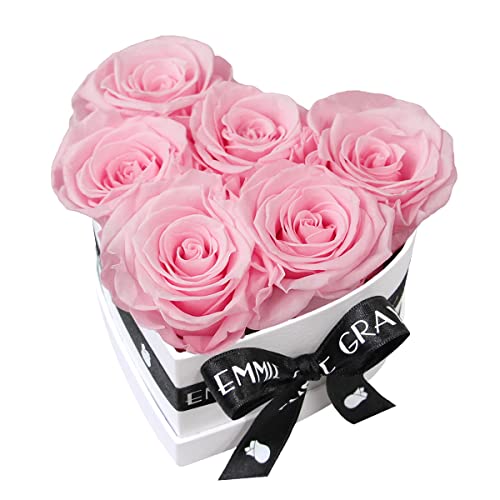 EG EMMIE GRAY Classic Infinity Rosenbox | Herz | Weiß – Traumhafte Infinity Rosen, 1-3 Jahre haltbare Rosen, Flowerbox mit echten, konservierten Rosen, edle Premiumrosen (S, Bridal Pink) von EG EMMIE GRAY