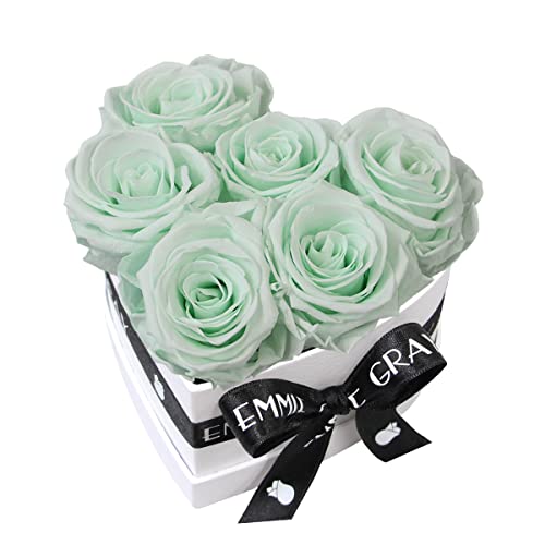 EG EMMIE GRAY Classic Infinity Rosenbox | Herz | Weiß – Traumhafte Infinity Rosen, 1-3 Jahre haltbare Rosen, Flowerbox mit echten, konservierten Rosen, edle Premiumrosen (S, Minty Green) von EG EMMIE GRAY