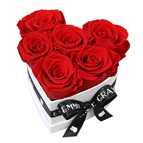 EG EMMIE GRAY Classic Infinity Rosenbox | Herz | Weiß – Traumhafte Infinity Rosen, 1-3 Jahre haltbare Rosen, Flowerbox mit echten, konservierten Rosen, edle Premiumrosen (S, Vibrant Red) von EG EMMIE GRAY