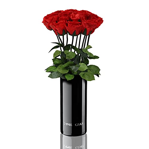 EG EMMIE GRAY Classic Vase Set | 10 | Long Stem Infinity Rosen inklusive schwarzer Glasvase - Luxuriöser Rosenstrauß aus echten Premiumrosen, 1-3 Jahre haltbar (Vibrant Red, 10 Rosen) von EG EMMIE GRAY