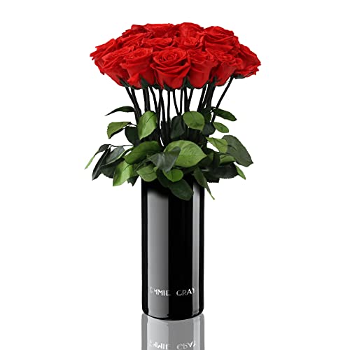 EG EMMIE GRAY Classic Vase Set | 15 | Long Stem Infinity Rosen inklusive schwarzer Glasvase - Luxuriöser Rosenstrauß aus echten Premiumrosen, 1-3 Jahre haltbar (Vibrant Red) von EG EMMIE GRAY