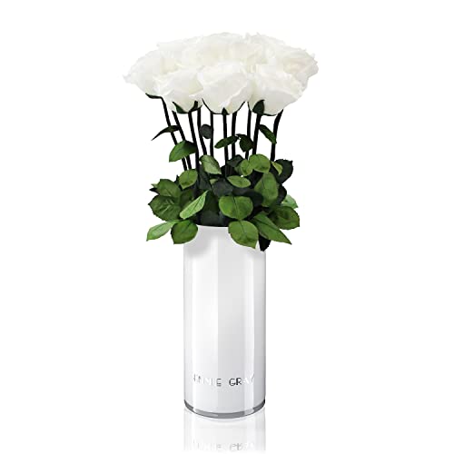 EG EMMIE GRAY Classic Vase Set | Long Stem Infinity Rosen inklusive weißer Glasvase - Luxuriöser Rosenstrauß aus echten Premiumrosen, die 1-3 Jahre halten, haltbare Rosen, (Pure White, 10 Rosen) von EG EMMIE GRAY