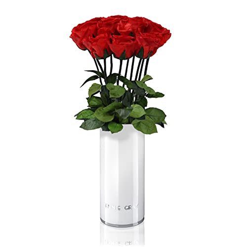 EG EMMIE GRAY Classic Vase Set | Long Stem Infinity Rosen inklusive weißer Glasvase - Luxuriöser Rosenstrauß aus echten Premiumrosen, die 1-3 Jahre halten, haltbare Rosen, (Vibrant Red, 10 Rosen) von EG EMMIE GRAY