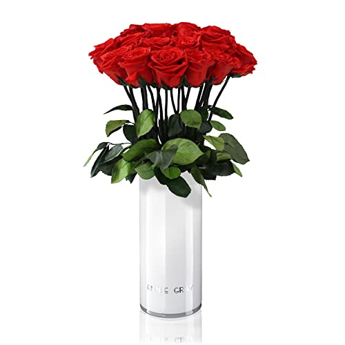 EG EMMIE GRAY Classic Vase Set | Long Stem Infinity Rosen inklusive weißer Glasvase - Luxuriöser Rosenstrauß aus echten Premiumrosen, die 1-3 Jahre halten, haltbare Rosen, (Vibrant Red, 15 Rosen) von EG EMMIE GRAY