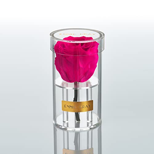 EG EMMIE GRAY Crystal Infinity | Acryl | – Traumhafte Infinity Rose, 1-3 Jahre haltbare Rose, Acrylgefäß mit echter, konservierter Rose, edle Premiumrose (Hot Pink) von EG EMMIE GRAY