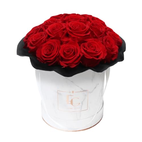 EG EMMIE GRAY Splendid Infinity Rosebox | Round | M | Rose Gold – Mind. 19 Infinity Rosen mit langjähriger Haltbarkeit, echte Rosen die bis zu 3 Jahre blühen, konservierte Rosen (Vibrant Red) von EG EMMIE GRAY