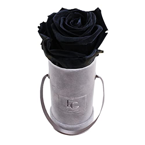 EMMIE GRAY CLASSIC INFINITY ROSENBOX | VELVET GRAY | Runde Flowerbox - Infinity Rosen in grauer Samtbox - 1-3 Jahre Haltbarkeit - Echte Rosen, die jahrelang blühen - Haltbare Rosen (XXS, Black Beauty) von EG EMMIE GRAY