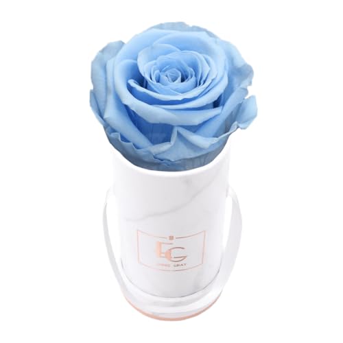 Emmie Gray Classic Infinity ROSENBOX | Marble Rosegold | Runde Flowerbox - Infinity Rosen in Grauer Samtbox - 1-3 Jahre Haltbarkeit - Echte Rosen, die jahrelang blühen (Baby Blue) von EG EMMIE GRAY