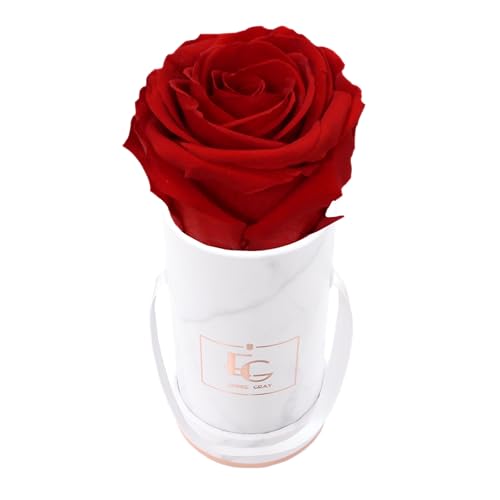 Emmie Gray Classic Infinity ROSENBOX | Marble Rosegold | Runde Flowerbox - Infinity Rosen in Grauer Samtbox - 1-3 Jahre Haltbarkeit - Echte Rosen, die jahrelang blühen (Vibrant Red) von EG EMMIE GRAY