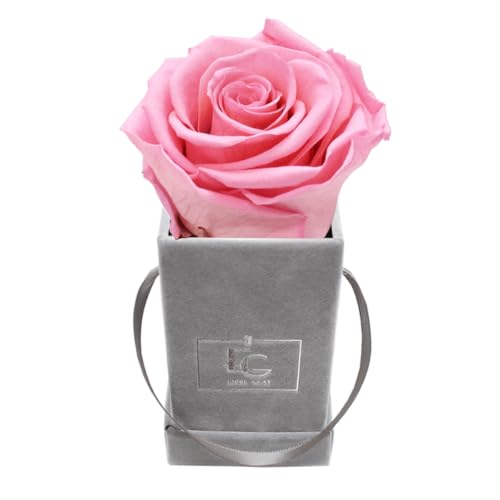 Emmie Gray Classic Infinity ROSENBOX | Velvet Gray | Eckige Flowerbox - Infinity Rosen in Grauer Samtbox - 1-3 Jahre Haltbarkeit - Echte Rosen, die jahrelang blühen (Bridal Pink) von EG EMMIE GRAY