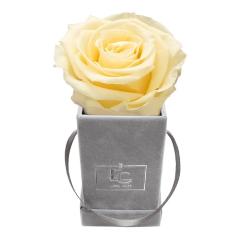 Emmie Gray Classic Infinity ROSENBOX | Velvet Gray | Eckige Flowerbox - Infinity Rosen in Grauer Samtbox - 1-3 Jahre Haltbarkeit - Echte Rosen, die jahrelang blühen (Champagne) von EG EMMIE GRAY