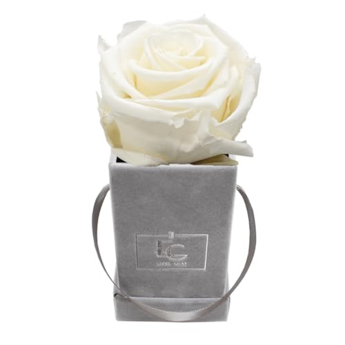 Emmie Gray Classic Infinity ROSENBOX | Velvet Gray | Eckige Flowerbox - Infinity Rosen in Grauer Samtbox - 1-3 Jahre Haltbarkeit - Echte Rosen, die jahrelang blühen (Pure White) von EG EMMIE GRAY