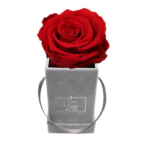 Emmie Gray Classic Infinity ROSENBOX | Velvet Gray | Eckige Flowerbox - Infinity Rosen in Grauer Samtbox - 1-3 Jahre Haltbarkeit - Echte Rosen, die jahrelang blühen (Vibrant Red) von EG EMMIE GRAY