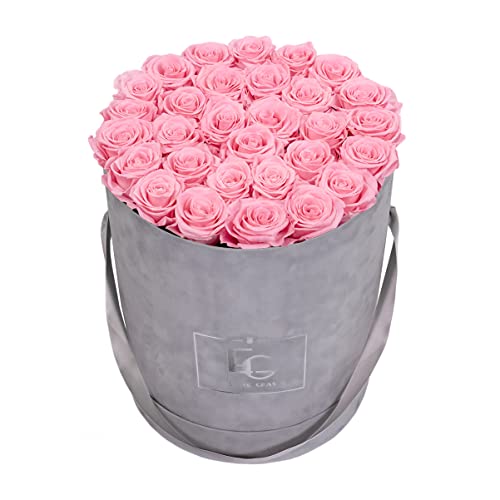 EMMIE GRAY CLASSIC INFINITY ROSENBOX | VELVET GRAY | Runde Flowerbox - Infinity Rosen in grauer Samtbox - 1-3 Jahre Haltbarkeit - Echte Rosen, die jahrelang blühen - Haltbare Rosen (L, Bridal Pink) von EG EMMIE GRAY