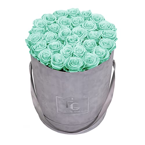 Emmie Gray Classic Infinity ROSENBOX | Velvet Gray | Runde Flowerbox - Infinity Rosen in Grauer Samtbox - 1-3 Jahre Haltbarkeit - Echte Rosen, die jahrelang blühen - Haltbare Rosen (L, Minty Green) von EG EMMIE GRAY