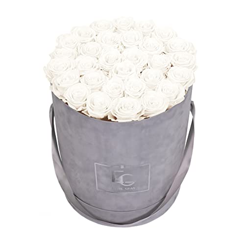 Emmie Gray Classic Infinity ROSENBOX | Velvet Gray | Runde Flowerbox - Infinity Rosen in Grauer Samtbox - 1-3 Jahre Haltbarkeit - Echte Rosen, die jahrelang blühen - Haltbare Rosen (L, Pure White) von EG EMMIE GRAY