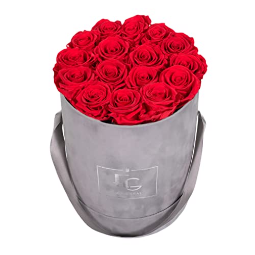 Emmie Gray Classic Infinity ROSENBOX | Velvet Gray | Runde Flowerbox - Infinity Rosen in Grauer Samtbox - 1-3 Jahre Haltbarkeit - Echte Rosen, die jahrelang blühen - Haltbare Rosen (M, Vibrant Red) von EG EMMIE GRAY